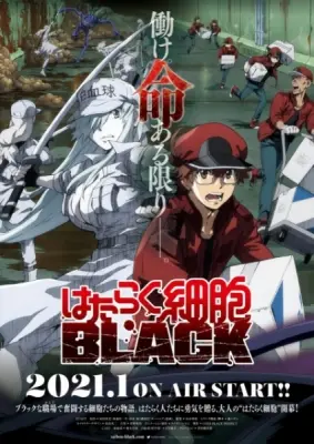Cells at Work! Code Black (TV)